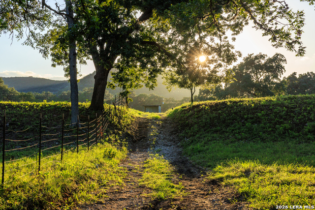 Image 77 of 77 For 000 Rm 336  