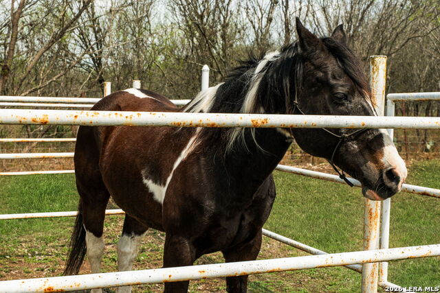 Image 102 of 103 For 8463 Barron  