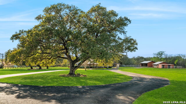 Image 91 of 103 For 8463 Barron  