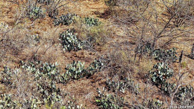Image 13 of 14 For Tbd County Road 367