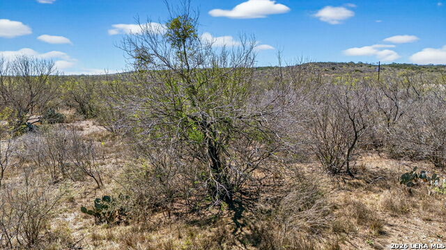 Image 14 of 14 For Tbd County Road 367