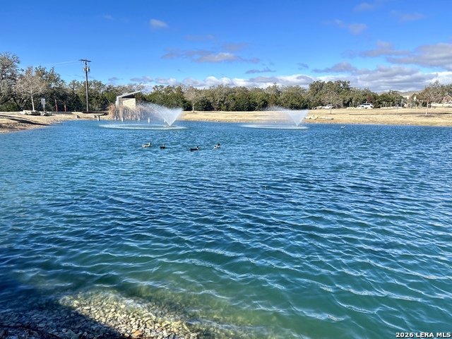 Image 29 of 39 For 6013 Companion