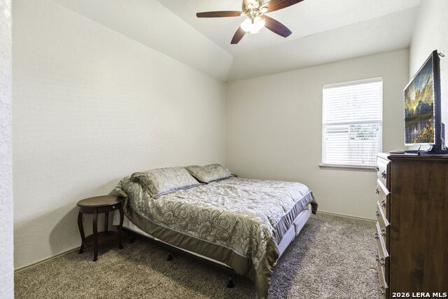 Image 19 of 25 For 318 Tree Swallow