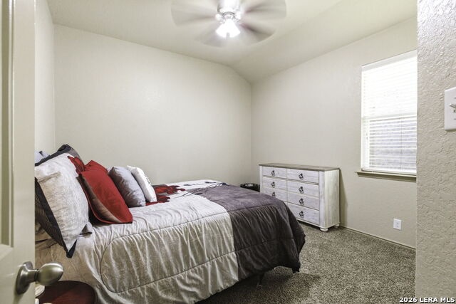 Image 20 of 25 For 318 Tree Swallow