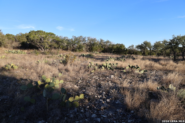 Image 10 of 31 For Tbd County Road 241