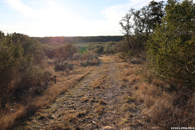 Image 11 of 31 For Tbd County Road 241