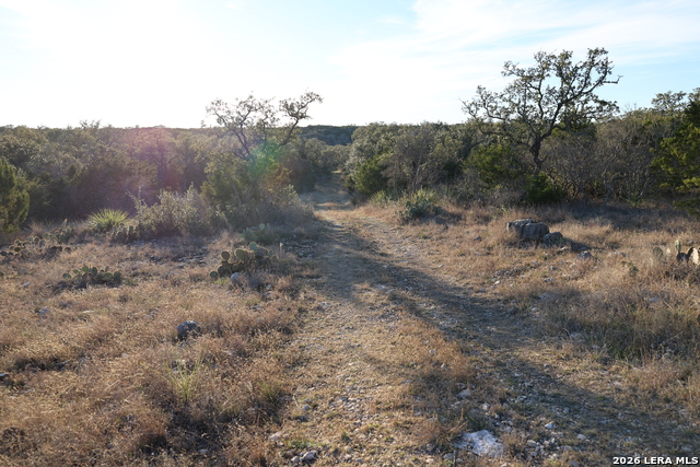 Image 12 of 31 For Tbd County Road 241
