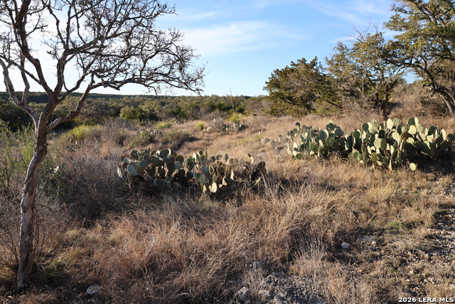 Image 13 of 31 For Tbd County Road 241