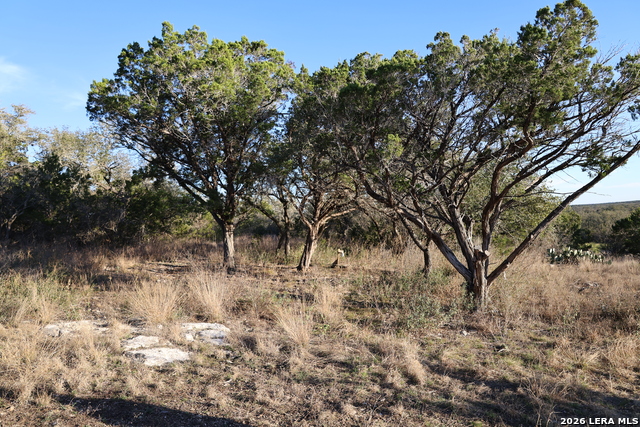 Image 14 of 31 For Tbd County Road 241