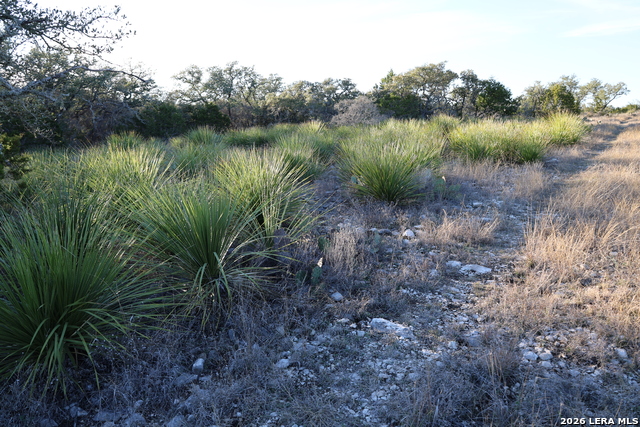 Image 16 of 31 For Tbd County Road 241