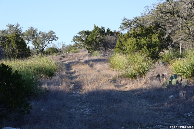 Image 17 of 31 For Tbd County Road 241