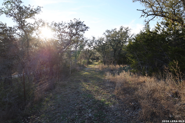 Image 19 of 31 For Tbd County Road 241