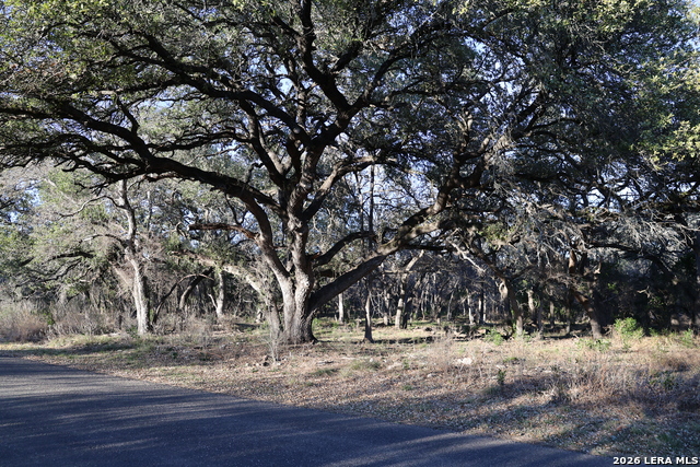 Image 3 of 31 For Tbd County Road 241
