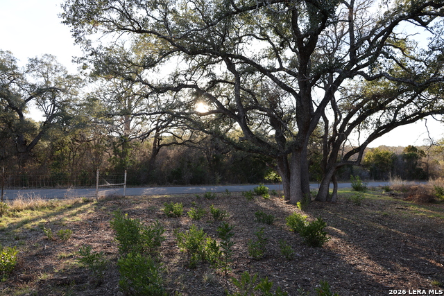 Image 4 of 31 For Tbd County Road 241