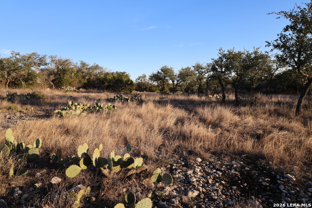 Image 7 of 31 For Tbd County Road 241