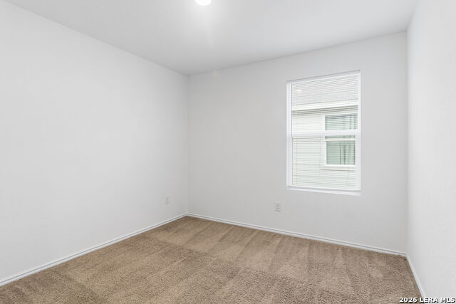 Image 10 of 16 For 11720 Arctic Rose