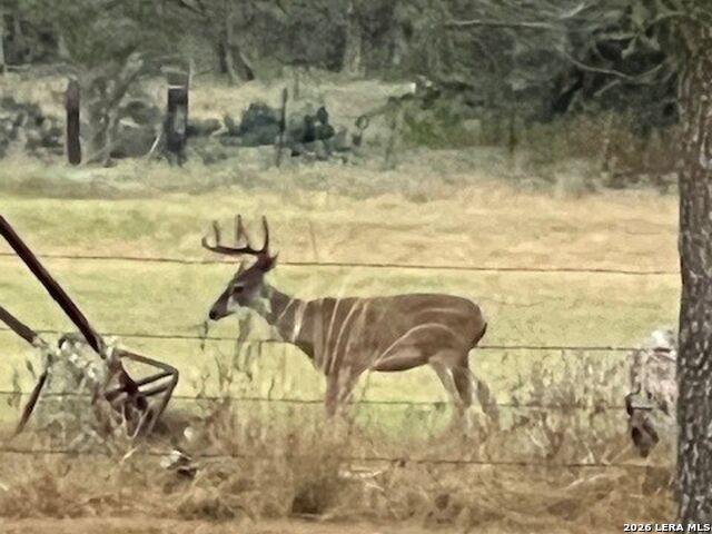 Image 4 of 12 For 1384 County Road 326