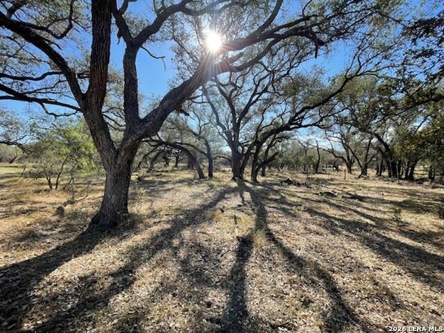 Image 8 of 12 For 1384 County Road 326