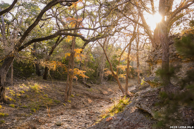 Details for 242 Model T  , Blanco, TX 78606