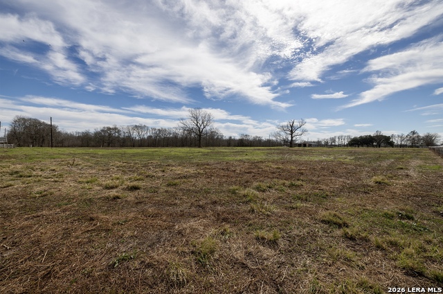 Listing photo id 8 for 33715 Fm 1093