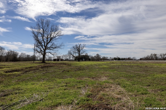 Listing photo id 9 for 33715 Fm 1093