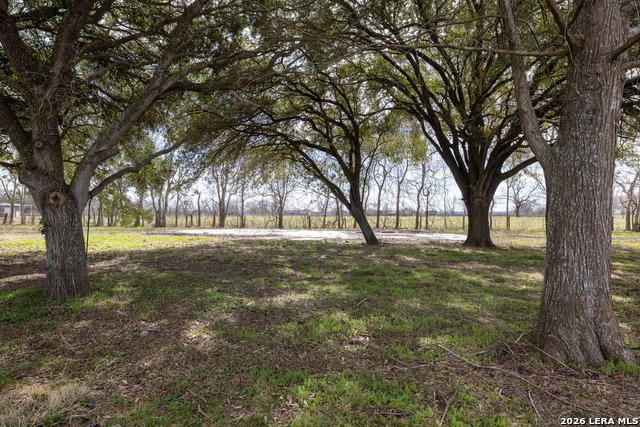 Listing photo id 4 for 33715 Fm 1093