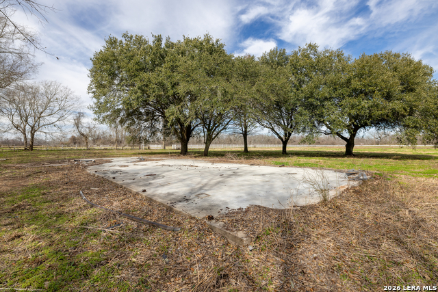 Listing photo id 6 for 33715 Fm 1093