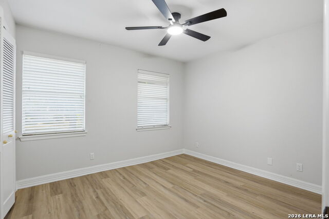 Image 31 of 45 For 3038 Whisper Fern