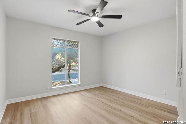 Image 33 of 45 For 3038 Whisper Fern