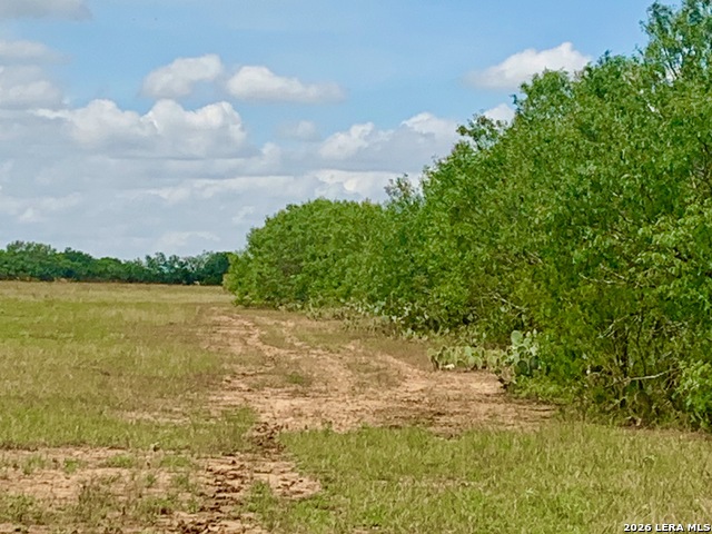 Image 14 of 37 For 1152 A County Road 227