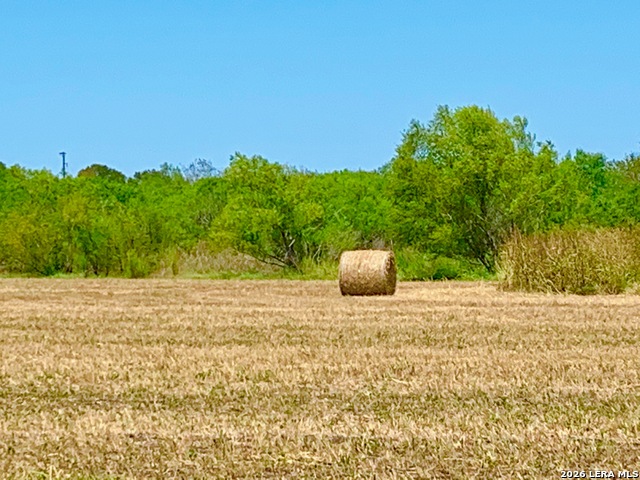 Image 15 of 37 For 1152 A County Road 227