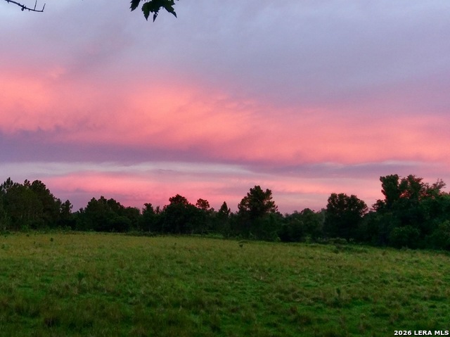 Image 37 of 37 For 1152 A County Road 227