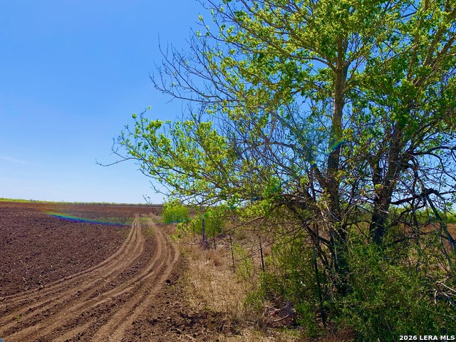 Image 5 of 37 For 1152 A County Road 227