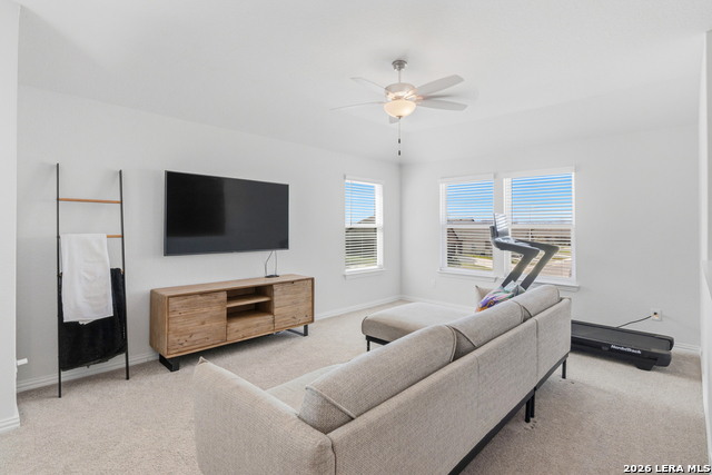 Image 30 of 48 For 1314 Cottonseed