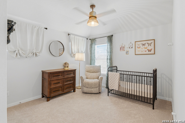 Image 34 of 48 For 1314 Cottonseed