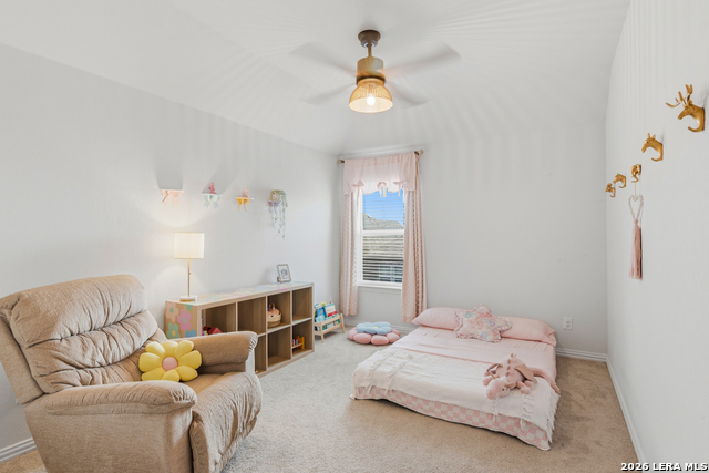 Image 36 of 48 For 1314 Cottonseed