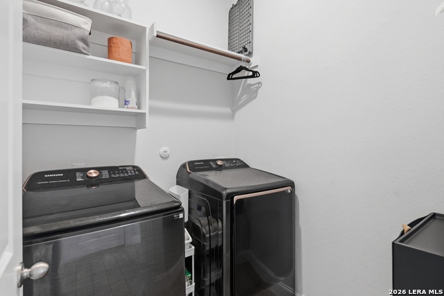 Image 5 of 48 For 1314 Cottonseed