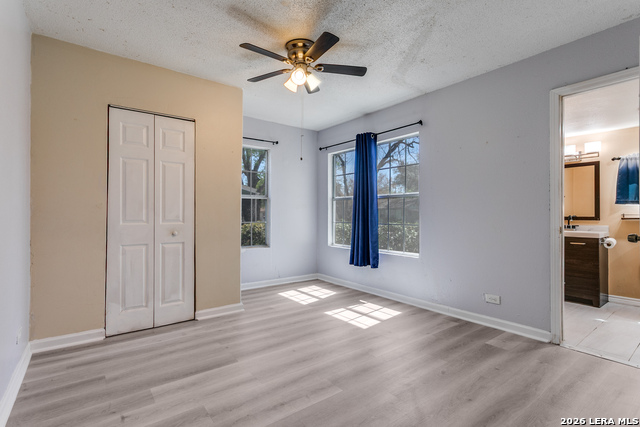 Image 10 of 12 For 347 Hermine W