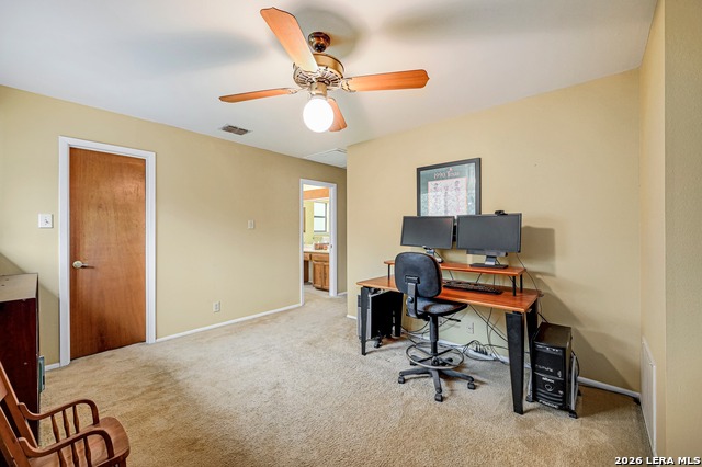 Image 22 of 30 For 17006 Wood Moss