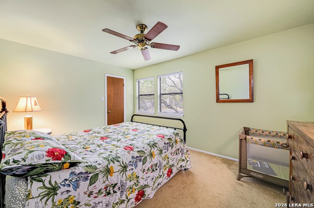 Image 23 of 30 For 17006 Wood Moss