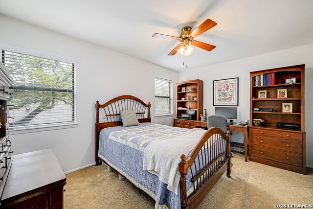 Image 24 of 30 For 17006 Wood Moss