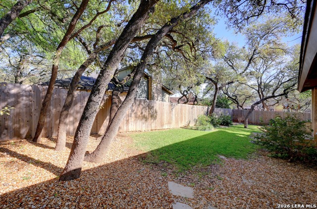 Image 27 of 30 For 17006 Wood Moss