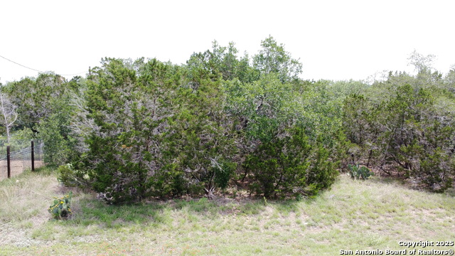 Image 10 of 12 For Tbd County Road 2473