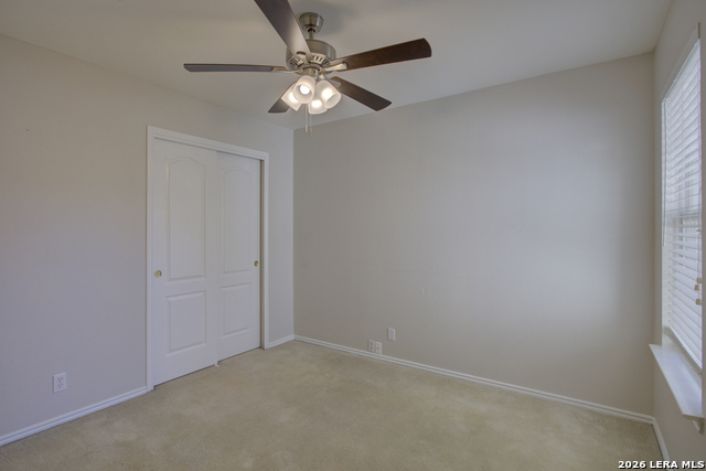 Image 21 of 38 For 22 Sunflower Run