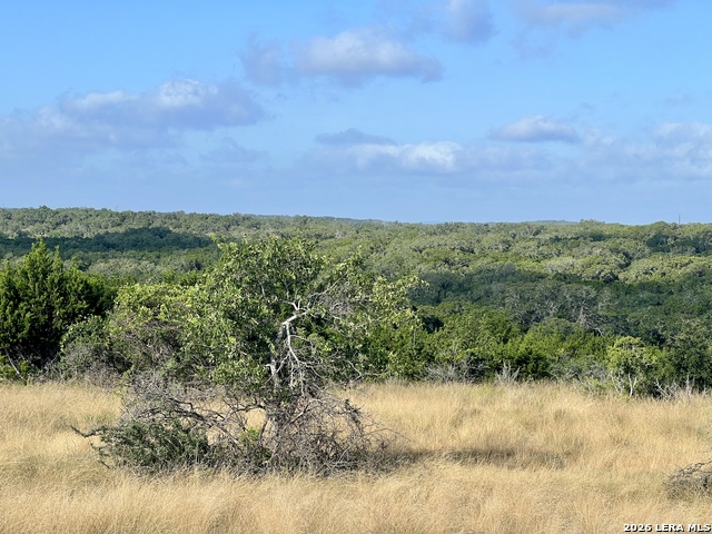 Image 2 of 21 For 406 Plantation Path