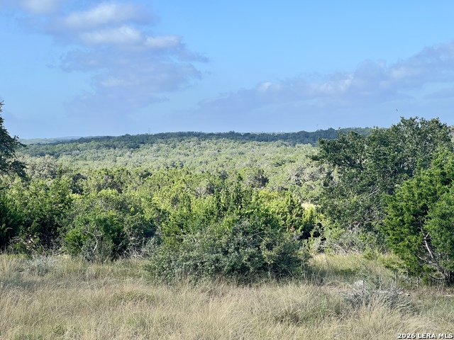 Image 7 of 21 For 406 Plantation Path