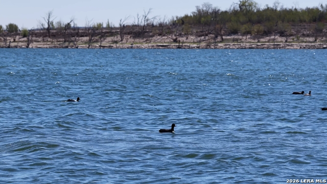 Image 33 of 33 For 956 Lakebreeze Dr