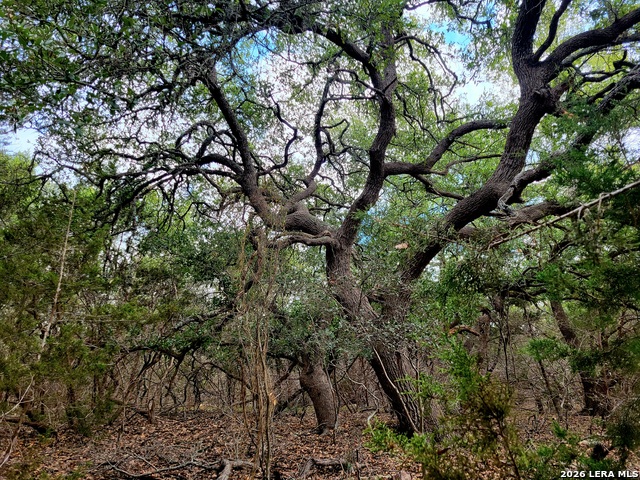 Image 2 of 10 For 2066 Stallion Springs Dr