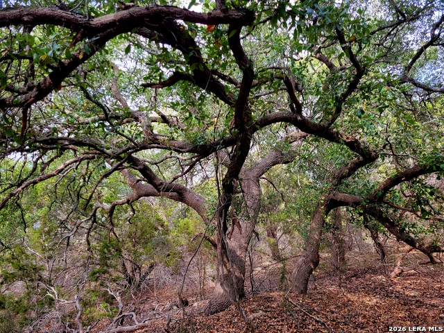 Image 4 of 10 For 2066 Stallion Springs Dr