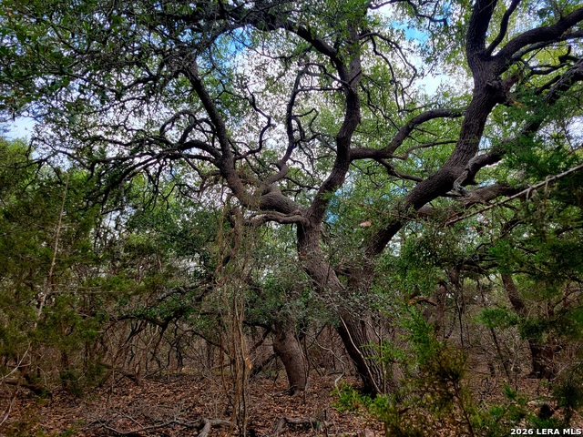 Image 5 of 10 For 2066 Stallion Springs Dr